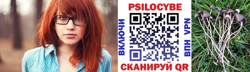 Галлюциногенные грибы прущие грибы  Козельск 