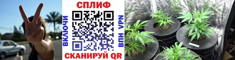 Шишки марихуана VHQ  Козельск 